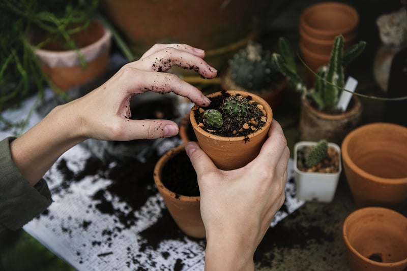 Garden Pest Control
